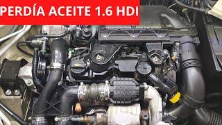 REPARAR PERDIDA DE ACEITE   1.6 Hdi  Avería Común Citroen Peugeot CULATINES Y Tapa de Válvulas.