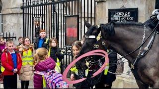 Kid, It Almost Gets Hurt By the king’s Horse