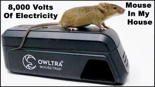 8,000 Volts Of Electricity End A Mouse Home Invasion. The OWLTRA Infrared Trap.  Mousetrap Monday