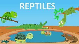 Learn about Reptiles || Reptiles Video for Kids