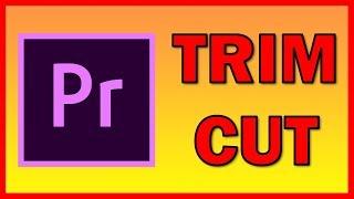 How to Trim / Cut a video in Premiere Pro CC 2019 - Tutorial