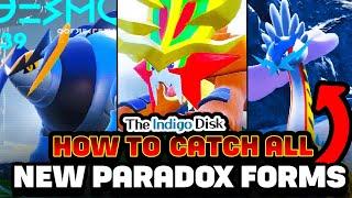 HOW TO CATCH ALL NEW PARADOX FORMS Indigo Disk DLC (Iron Boulder & Crown, Raging Bolt, Gouging Fire)