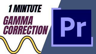 How to use Gamma Correction in Adobe Premiere Pro CC | #premierepro #tutorial #gammacorrection #edit