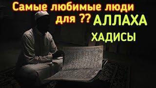 Хадисы Пророка МУХАММАДА (ﷺ)