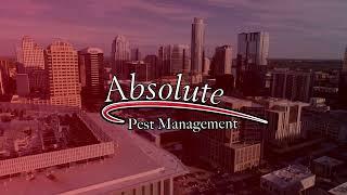 Absolute Pest Management - Termite Swarming Season Texas