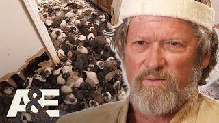 Hoarders: Rats Gone Wild & Feline Frenzy | Full Episode Part 1 | A&E