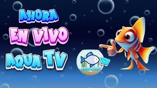 AHORA MIRA!!! AQUA TV EN VIVO  26/12/2024