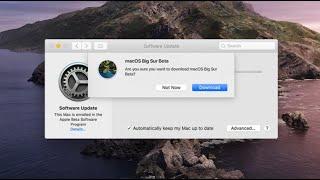 How to Update MacOS to Big Sur | Big Sur Not Downloading Properly FIX!!!