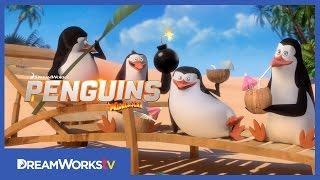 Mission: Cuba | PENGUINS OF MADAGASCAR