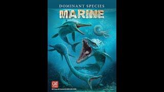 Kai DS Marine