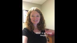 What is a Fundal Height?