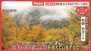 “神秘の紅葉”路上駐車に観光バスが大行列　外国人観光客も増加　長野県「上高地」【羽鳥慎一モーニングショー】(2024年10月30日)