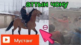 Мустанг