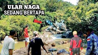 Geger !! Ular Naga Raksasa Bertapa Di Sungai Purba Terlihat Warga Nganjuk Jawa Timur