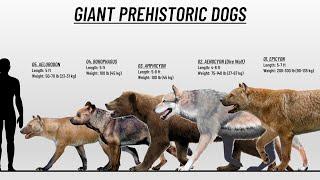 The 10 Different Types Of Prehistoric Dogs