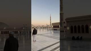 YEH SHER-E-MUSTAFA HAI MADINA KAREEM HAI | SAYED HASSAN ULLAHHUSSAINI| #shorts #allah #madina #naat