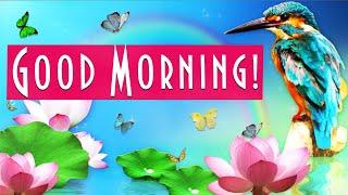 Good Morning! Best Wishes! / #WhatsApp Greeting card