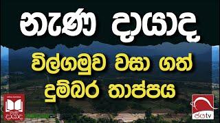 නැණ දායාද | විල්ගමුව වසා ගත් දුම්බර තාප්පය | Nena dayada පළමු පරිච්ජේදය