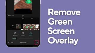 How to Remove Green Screen Overlay on your CapCut | 2024 Easy Guide