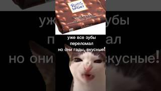 кот мем #мем #кот #котики #шоколад #мем мем с котом #вкусно #еда #animation #cringe