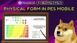 ВСЯ ПРАВДА О ФИЗИЧЕСКОЙ ФОРМЕ В PES MOBILE | PES EDUCATION