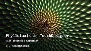Modelling Phyllotaxis and Zoetropes in TouchDesigner