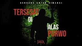 Tersesat Dalam Penelusuran Malam Alas Purwo (Special Episode)