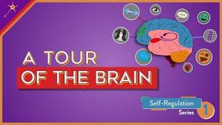 A Tour of the Brain! | Self-Regulation Lesson 1