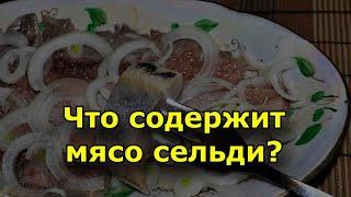 Мясо сельди польза и вред рыбы.