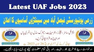 UAF Teaching and Non Teaching Jobs 2023 | Today Jobs in Pakistan 2023 | Clifton Jobs Studio