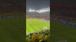 Brazil Switzerland  Mob Mood974 stadium #brazil #switzerland #neymar #worldcup #qatar #live