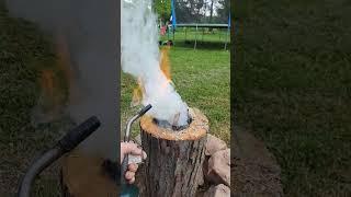 Campfire night. #firewood #campfire #maple #science #smoker #memorialday