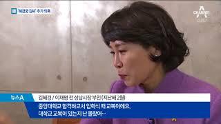 ‘혜경궁 김씨’ 논란 계속…文 비방 SNS와 연관?