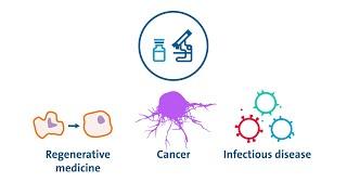 Extracellular Vesicles: What They Are, Application Potential, and How to Scale