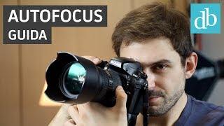 Autofocus: cos'è e come funziona | Guida fotografia • Ridble
