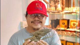 AGARWOOD: When it Becomes 1M THAILAND BAHT per KILO? AGARWOOD products you need to see!