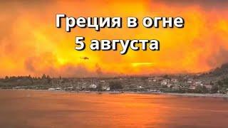 Лесной пожар в Греции остров Эвия