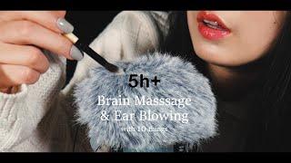 ASMR Brain Massage & Ear Blowing with 10 things 5Hr+ | Fluffy Mic Touching & Scratching (No Talking)