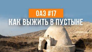 День в пустыне | Путешествие по ОАЭ #17