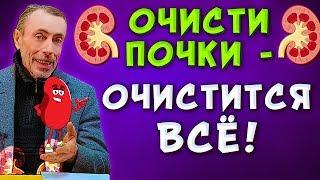 ОЧИСТИ ПОЧКИ - ОЧИСТИТСЯ ВСЁ! Очищение желчного, селезенки, мочевого пузыря.