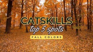 Top 5 Places to See the Fall Colors in the Catskills  | Ultimate Autumn Adventure