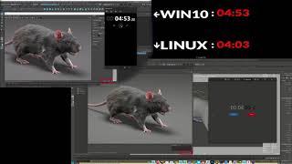LINUX VS WINDOWS RENDER TEST