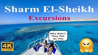 Sharm El-Sheikh Excursions. Why didn't they tell us this