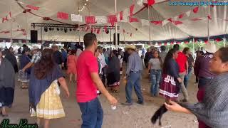 Música Tradicional Con Los Compas Del Rancho En La Fiesta Patronal De San Juan Mixtepec  Wahneta FL