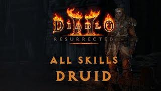 Diablo 2 Resurrected: Druid Skills |D2R|