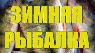 ЛУЧШАЯ уловистая мормышка на окуня для зимней рыбалки - ЧЕРТИК! ловля окуня зимой на мормышку.