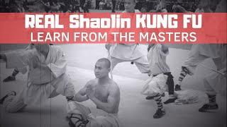 Shaolin Kung Fu Demonstration