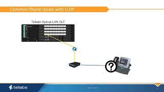 Tellabs Optical LAN: Using LLDP with VOIP Phones