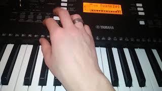 I got a new Keyboard PSR-EW300