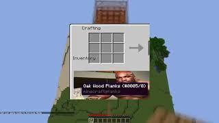 Minecraft meme | Barry Wood